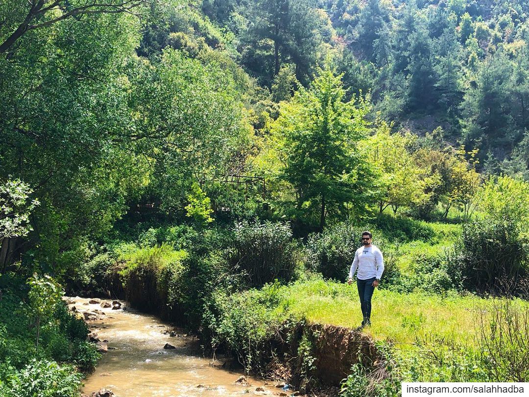 Take a walk in the trees and smell the wild air. Nature’s ability to heal... (Lebanon)