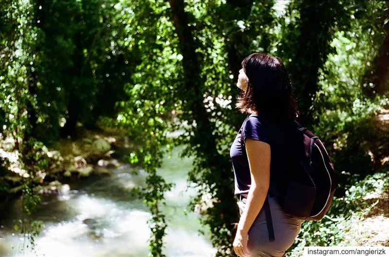 Take a walk on the Wild Side 🌲. 📸 Kodak Retina IIIC Film Camera@marcdac (El-Mukhtarah, Mont-Liban, Lebanon)