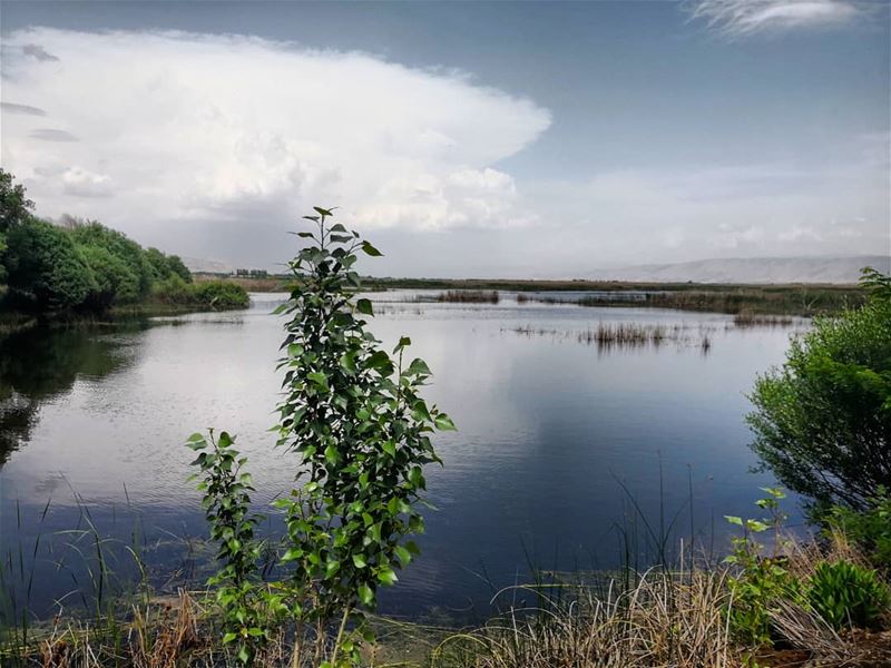 Take a walk with  nature and smell the  wild air...  hiking  lake  lebanon...