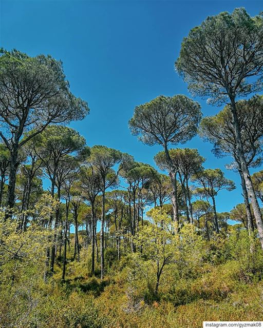 Take every chance to discover the unseen. discoverearth ... (Lebanon)