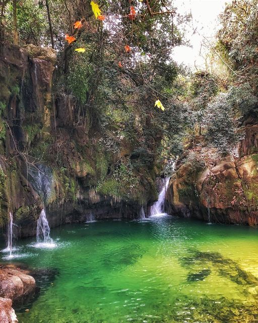 Take me back to  baakline .... livelovebaakline  tbt  shouf  nature ... (Shallalat Al Zarka شلالات الزرقا)