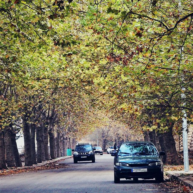 Take me there...🇱🇧 lebanon  lebanon_hdr  ig_lebanon  insta_lebanon ... (Cornish Sawfar)