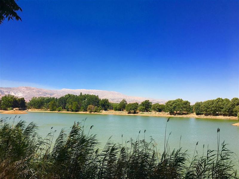 🌞🌿🍃🌿🍃🌞 Take Me To The Lake 🇱🇧 nature naturephotography tree colors... (Deïr Taanâyel, Béqaa, Lebanon)