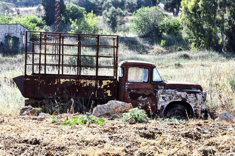 Take me to where I belong !  mothernature --------------------------------- (Al Qlay`Ah, Al Janub, Lebanon)