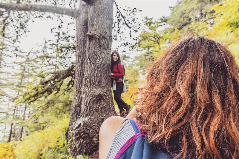 Take plenty of pictures... (Ehden, Lebanon)