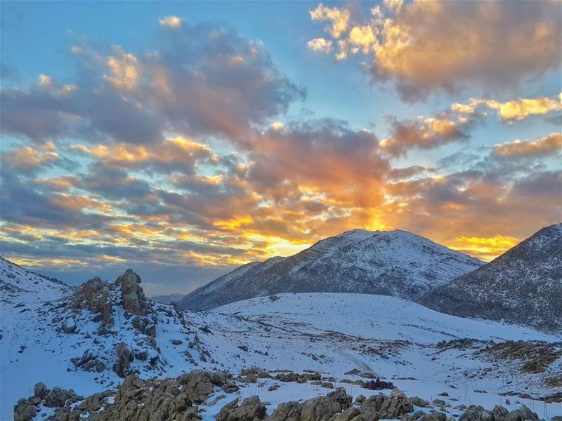 take the high road, the view is much better 👌📷  snow  nature_perfection ... (شبعا)