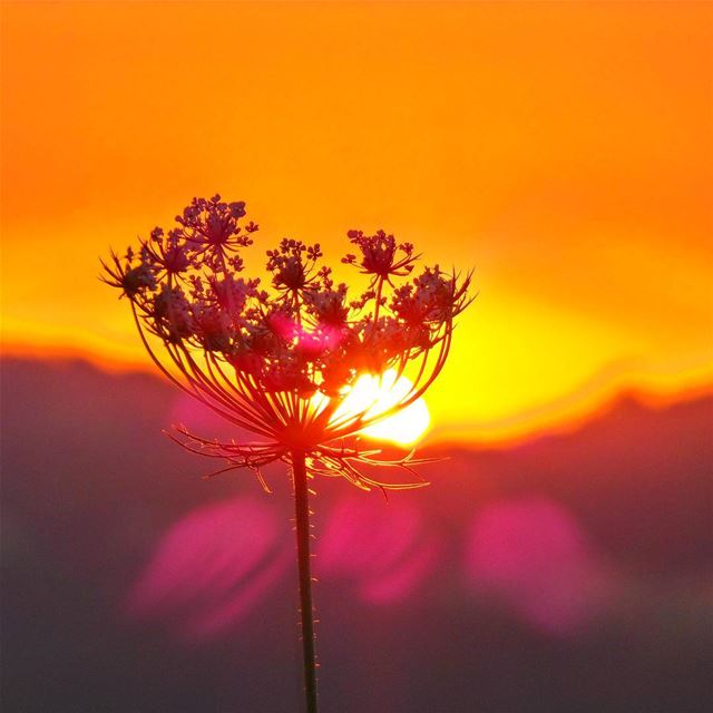 Take the time to stop and think and watch the sky turn pink and watch the... (Beit Ed-Deen, Mont-Liban, Lebanon)