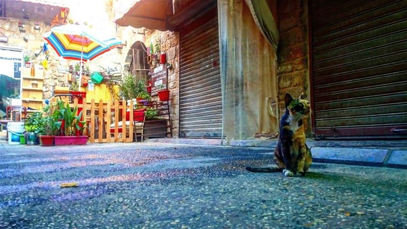  takenbyme  ptk_Lebanon  visitlebanon  Lebanonbyalocal  onlyonelebanon ... (Tyre, Lebanon)