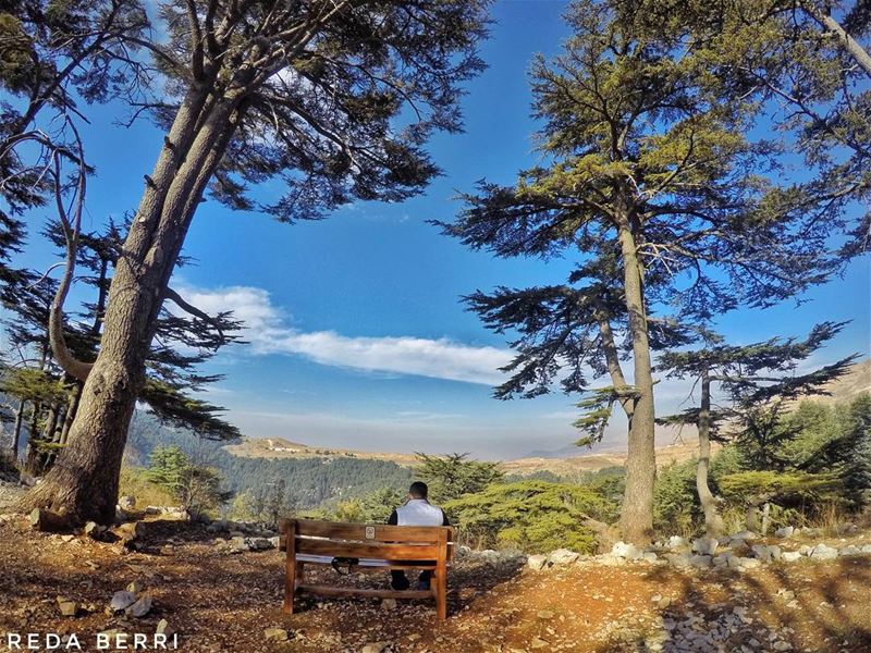 Taking a break mylebanon  proudlylebanese  whatsuplebanon  super_lebanon ... (Tannourine Cedars Nature Reserve)