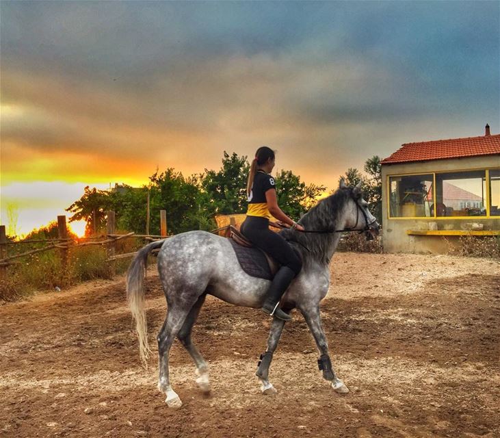 🐎🐎🐎🐎 (Tanbourit Horse Club)