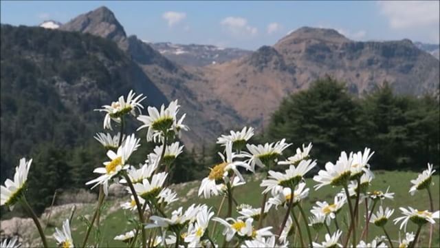  tannourine  afqa  livelovelebanon ...