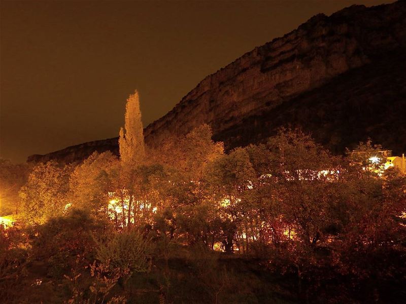  Tannourine at  night.  insta_lebanon  ig_lebanon  proudlylebanese ... (Tannourine El Tahta)