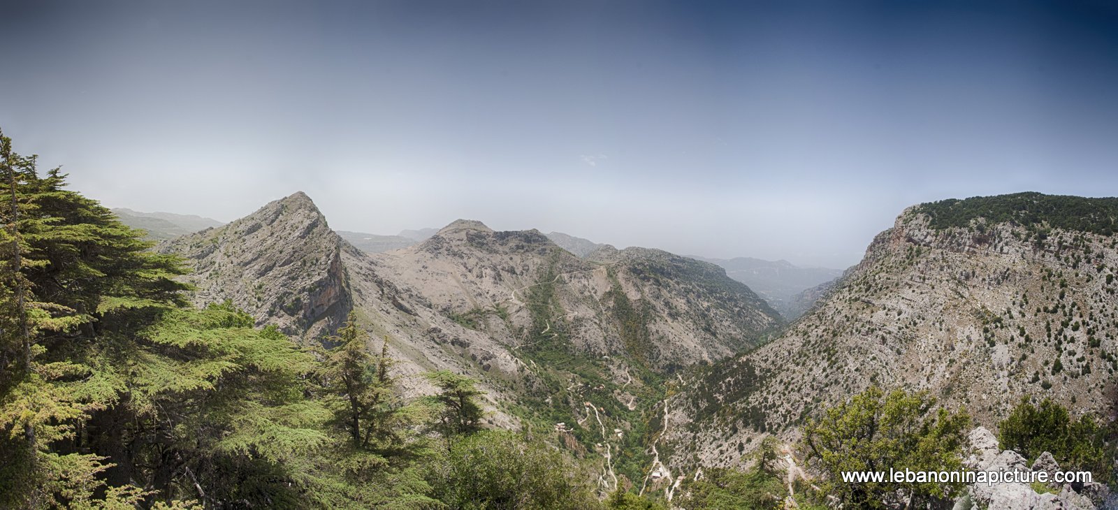 Tannourine Cedar Reserve (Arz Tannourine)