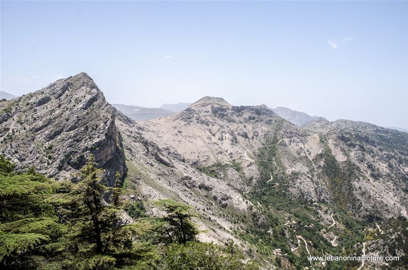 Tannourine Cedar Reserve (Arz Tannourine)