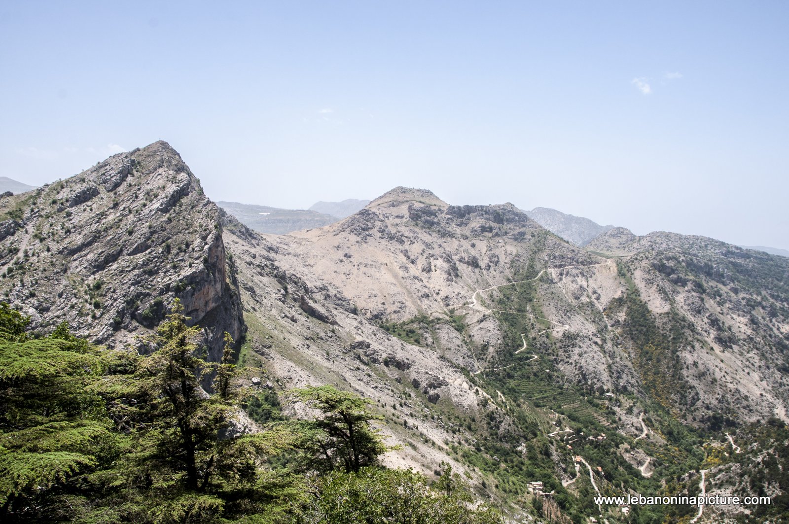 Tannourine Cedar Reserve (Arz Tannourine)
