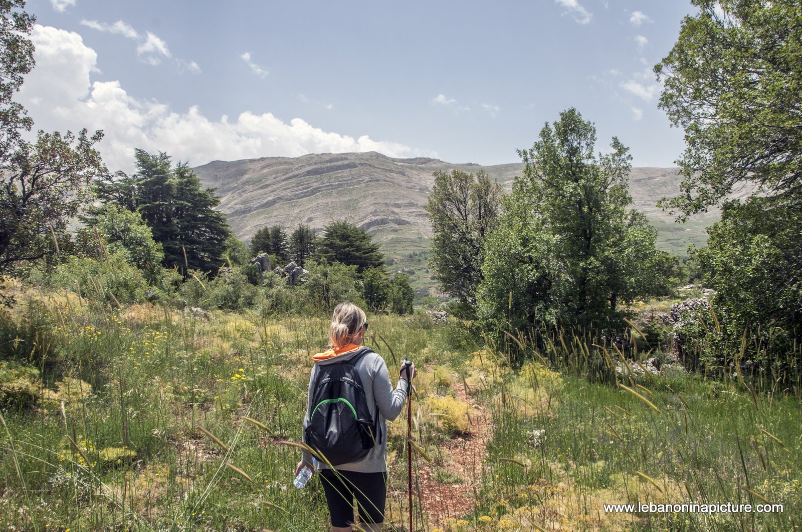 Tannourine Cedar Reserve (Arz Tannourine)