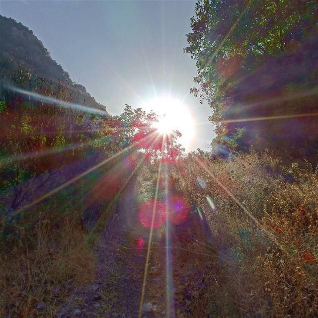  tannourine  insta_lebanon  ig_lebanon  proudlylebanese ... (Tannourine)