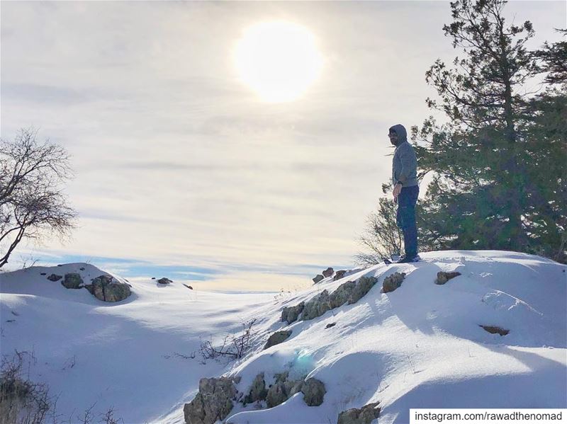  tannourine on my mind 😎.... throwback  winter  snow  snowshoeing ... (Arz Tannoûrîne)