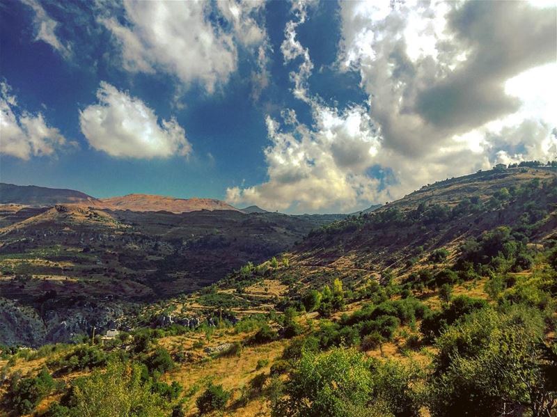 Tannourine