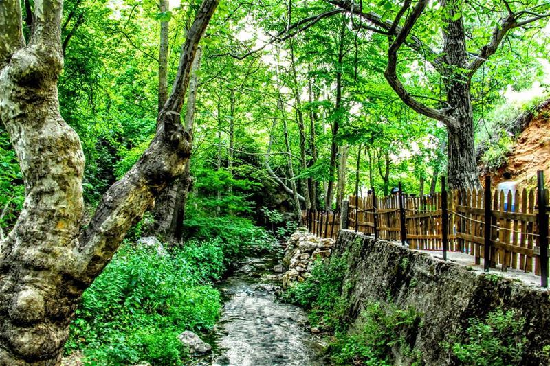  tannourinepicnicpark  picnic  picnicday  tannourine  lebanon ... (Tannourine)