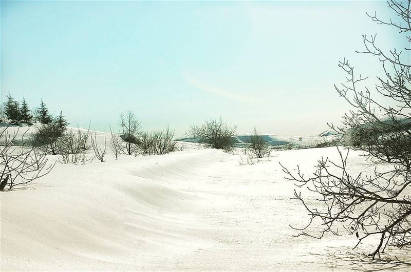 Tapis blanc ❄☁💙 ... (Kfardebian)