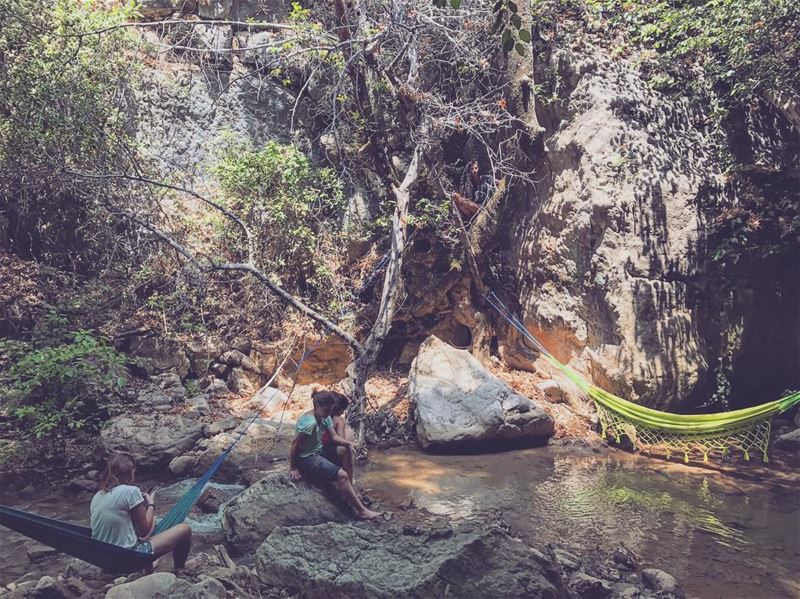 TarzanWho🌳🏕🐒🌿.📷 @tawjaw39