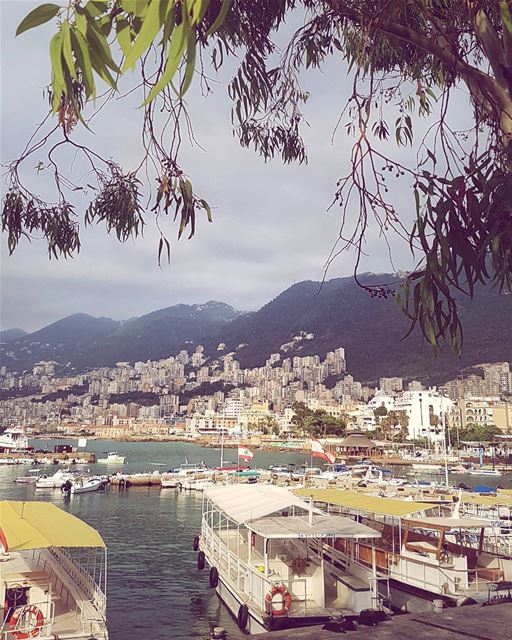Tasteless @lonelyplanet review says: "Famous as the home of the venerable... (Joünié)