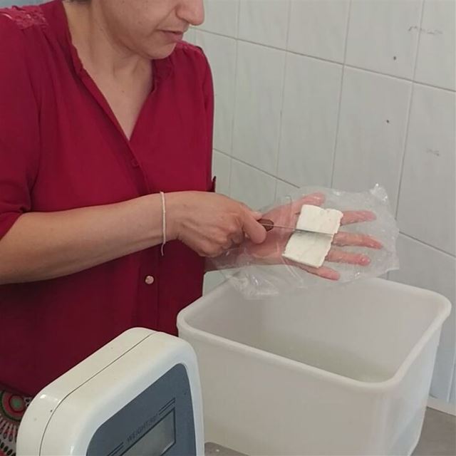 Tasting fresh cheese "jebneh khadra" made on the premises from family... (Dayr Al Qamar, Mont-Liban, Lebanon)