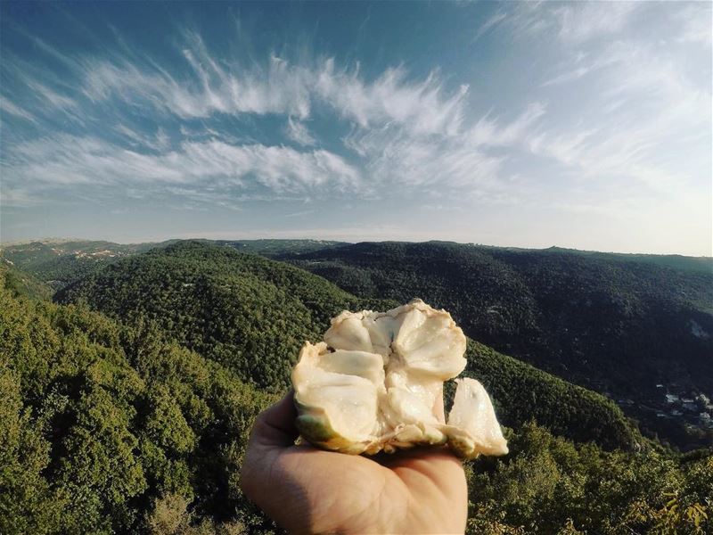 Tasty morning ...... morning  view  clouds  mountain  fruits  tasty ... (Lehfed)