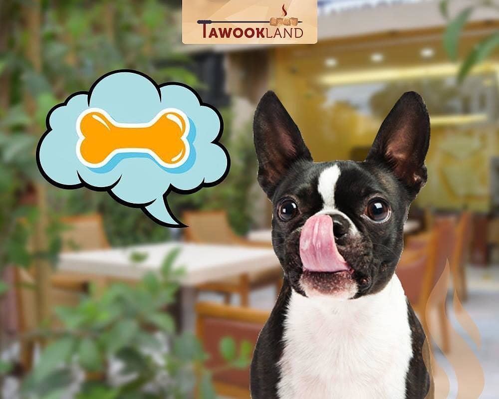@tawookland -  Pets are ALLOWED at our outdoor terrace area! You won't... (Tawookland)