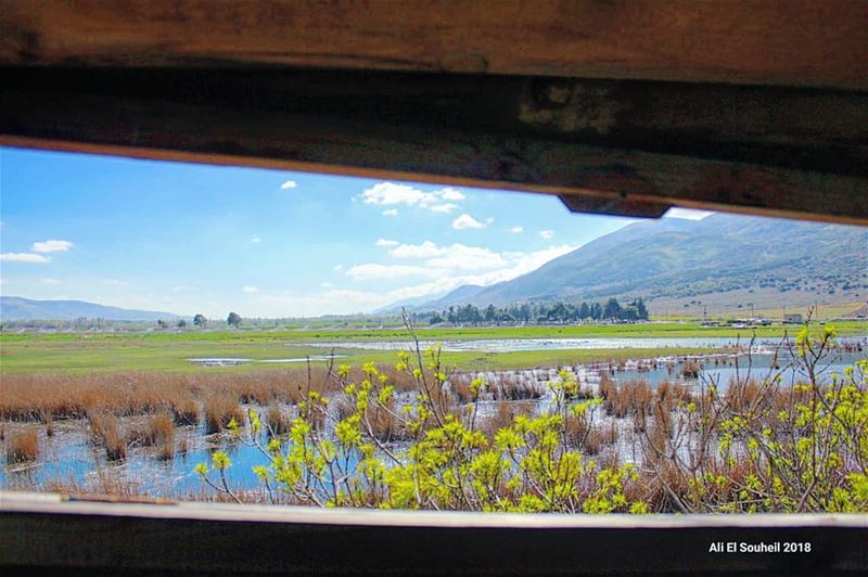  tb  ammiq  natural  natureframe  wood  lake  mountains  window  view ... (`Ammiq, Béqaa, Lebanon)