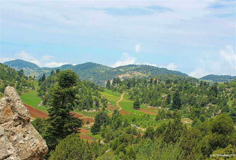  tb  ammou3a  qammou3a  northlebanon  mountains  green  nature  hiking ... (Ammou3a - Akkar)