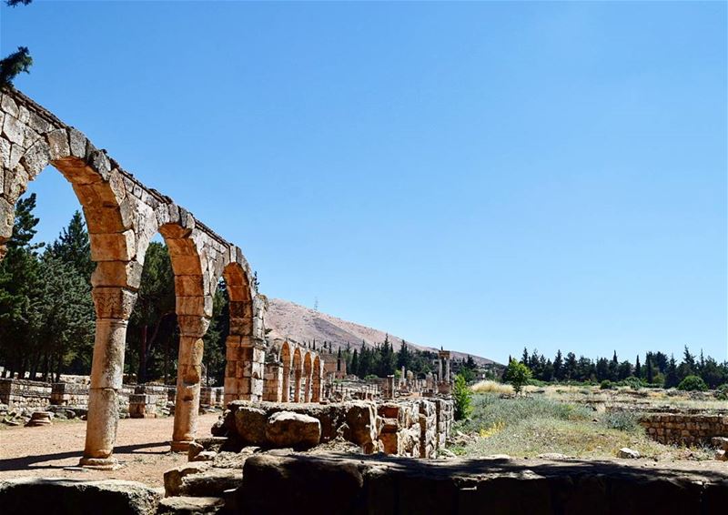  tb  anjar  citadel ... (`Anjar, Béqaa, Lebanon)