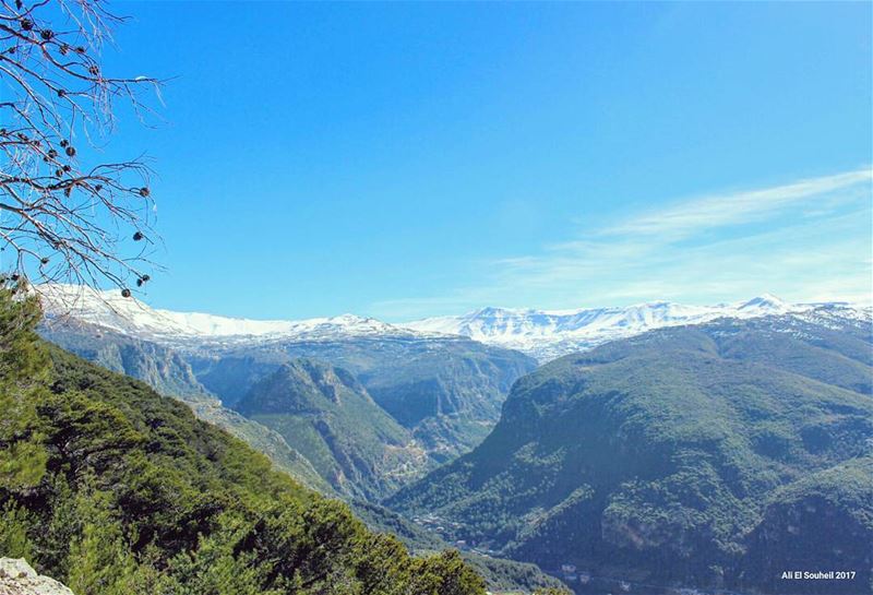  tb  aytou  winter  northlebanon  mountains  snow  nature  green  sky ... (Ayto)