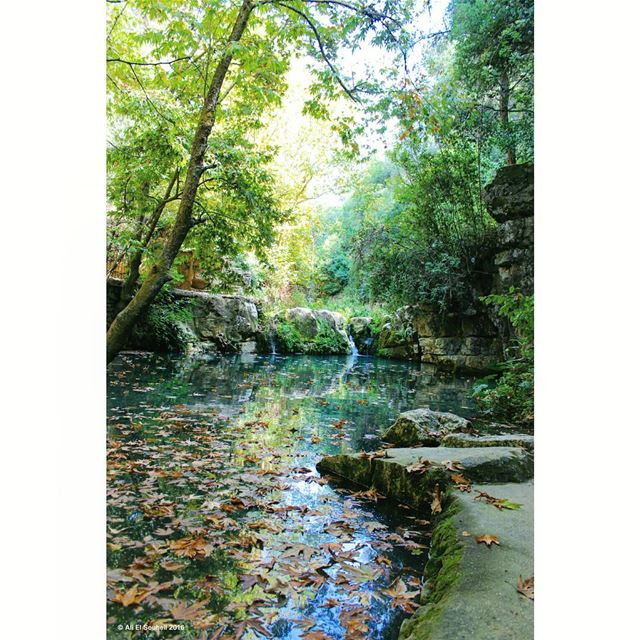  tb  baaqline  river  trees  mountlebanon  reflection  fall  lebanon ... (Baaqlîne, Mont-Liban, Lebanon)