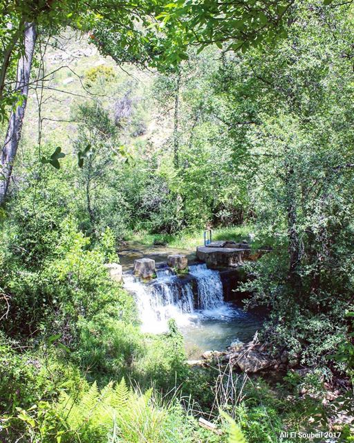  tb  batlon  chouf  mountlebanon  river  waterfall  trees  nature  spring ... (Batloun, Mont-Liban, Lebanon)