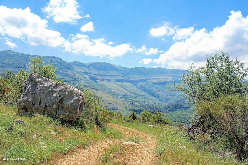  tb  besri  chouf  mountlebanon  clouds  mountains  trees  winter ... (Besri, Chouf)