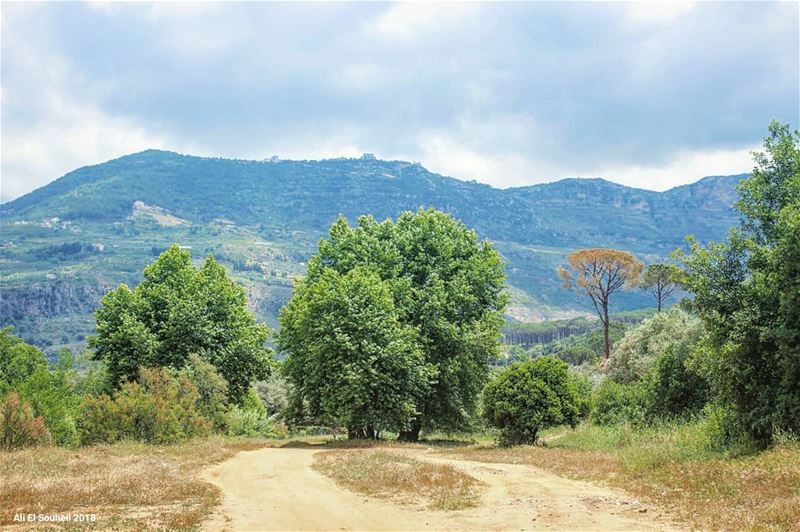  tb  besri  valley  trees  nature  sky  lebanon  colorful  livelovelebanon... (Besri, Chouf)