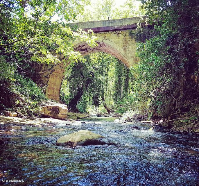 tb  bridge  batlon  mountlebanon  river  old  arch  nature  green  ... (Batloun, Mont-Liban, Lebanon)