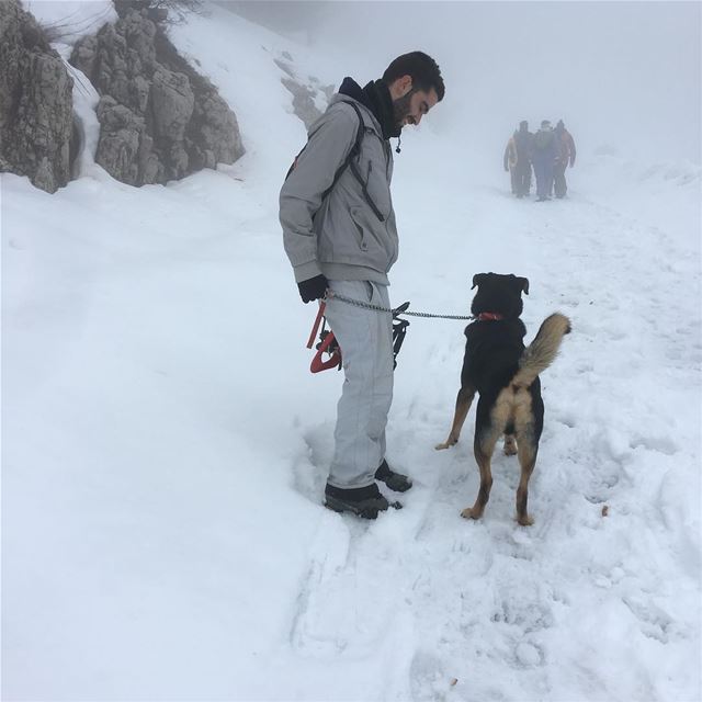  tb fog hiking hikingadventures snow snowshoeing hikingdog Oda adventure... (Barouk Cedar Forest)