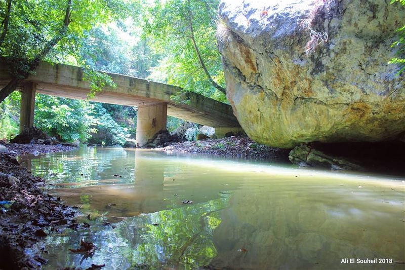  tb  ghaboun  mountlebanon  bridge  river  nature  rock  reflection  trees... (Ghaboun, Mont-Liban, Lebanon)