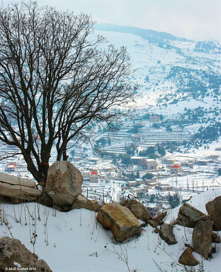  tb  hardine  snow  winter  mountains  village ... (Hardîne, Liban-Nord, Lebanon)