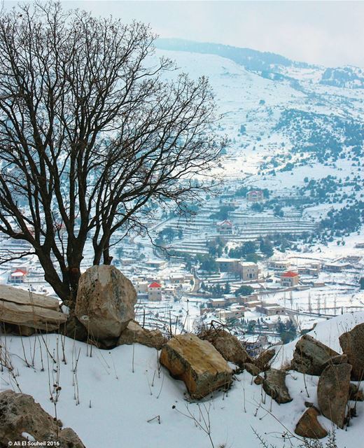  tb  hardine  snow  winter  mountains  village ... (Hardîne, Liban-Nord, Lebanon)