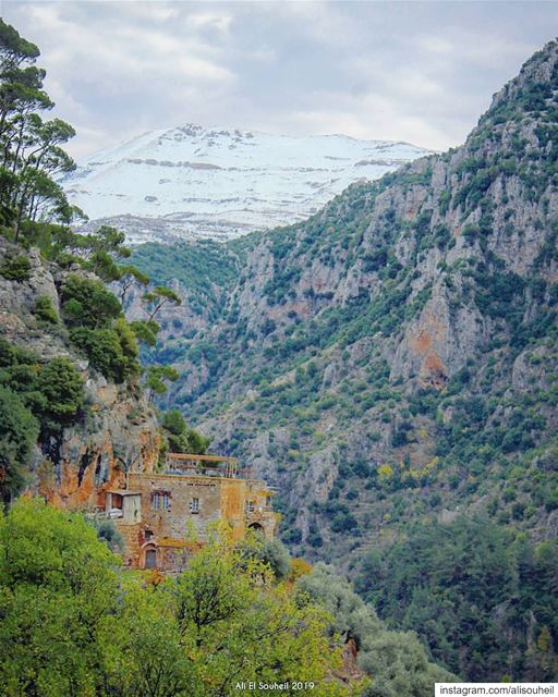  tb  hiking  kadisha  valley  holy  mountains  northlebanon  snow  nature ... (Ouâdi Qannoûbîne, Liban-Nord, Lebanon)