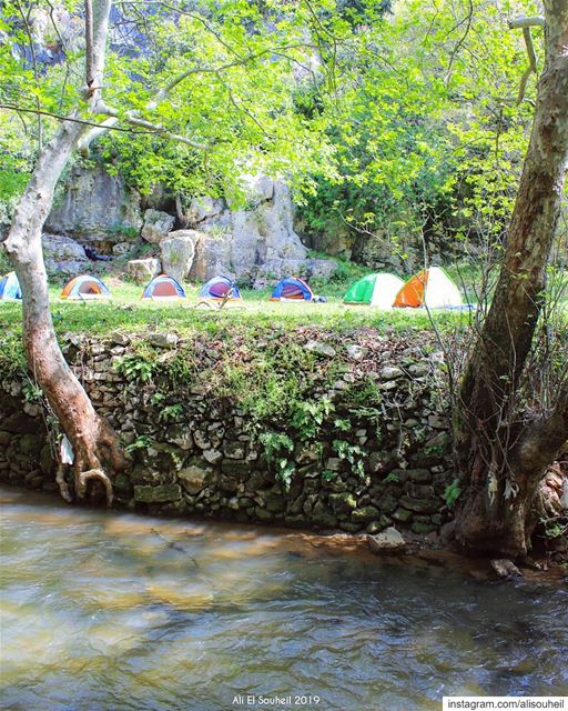  tb  hiking  nahereljouz  river  camping  lebanon  nature  trees  ... (Nahr el Jaouz)