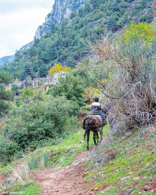  tb  holy  valley  qannoubine  northlebanon  nature  mountains  lebanon ... (Wadi Qannubin, Liban-Nord, Lebanon)