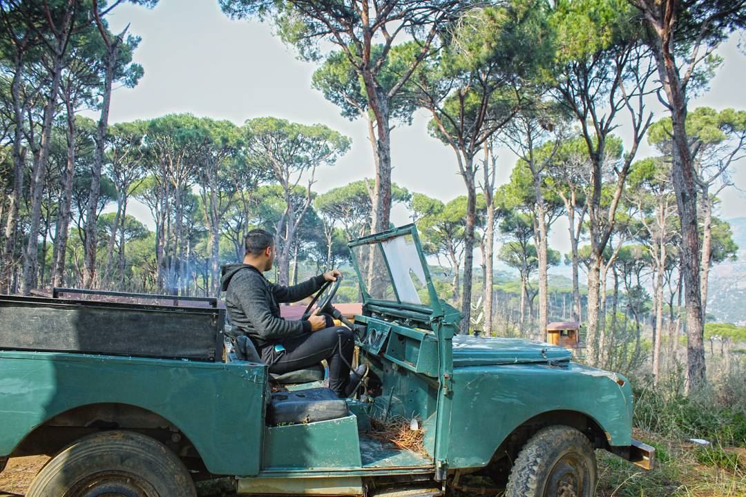  tb  jeep  safari  forest  pine  trees  mountlebanon  me  driving ... (Bzébdîne, Mont-Liban, Lebanon)