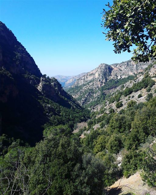  tb  kadisha  valley  bcharre  blue  sky  trees  Nature  natural ... (Kadisha Valley)