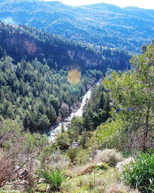  tb  kfarmatta  mountlebanon  mountains  forest  river  valley  trees ... (Kfarmatta)