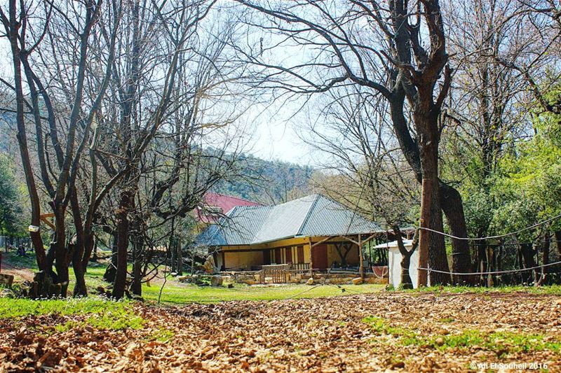  tb  lebanese  house  forest ... (Mazraat Et Teffâh, Liban-Nord, Lebanon)